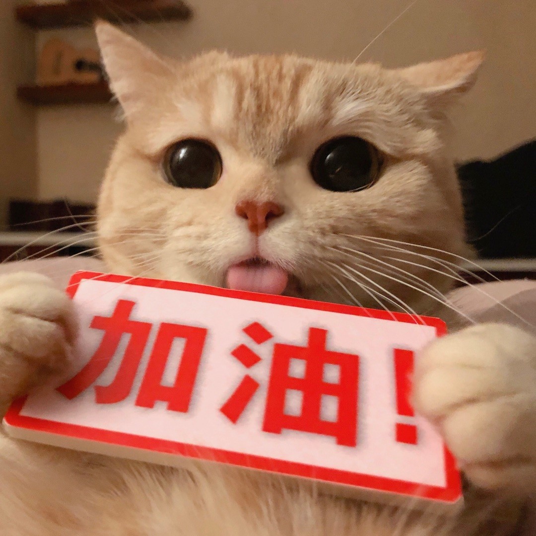 南审小羽毛学姐头像